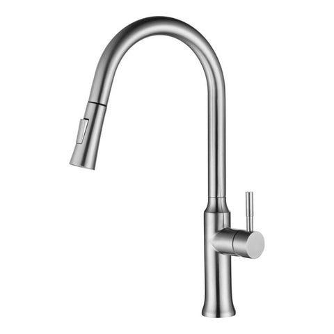 Stainless Steel Single Handle Pull-Out Kitchen Faucet