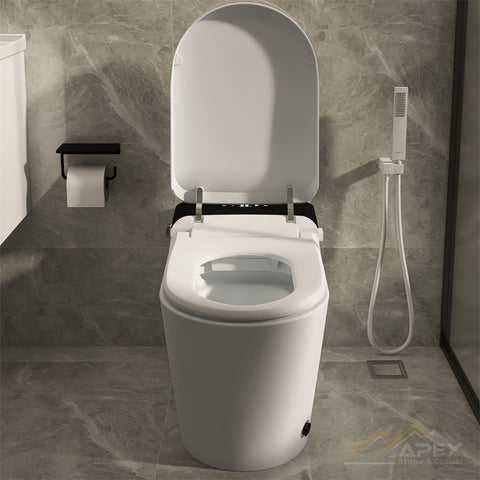 520Black Smart One-Piece Toilet