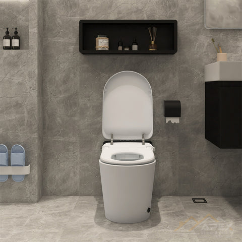 520Black Smart One-Piece Toilet