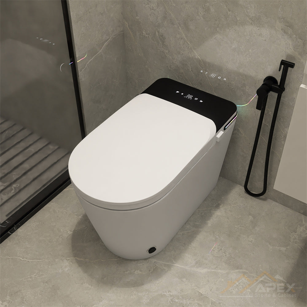 520 Black Smart One-Piece Toilet | Apex Granite Outlet