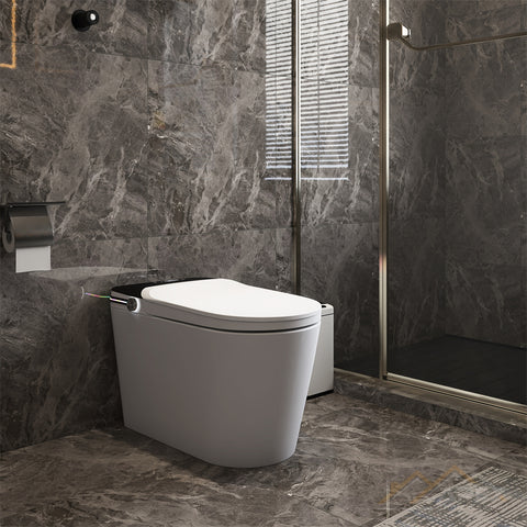 520Black Smart One-Piece Toilet