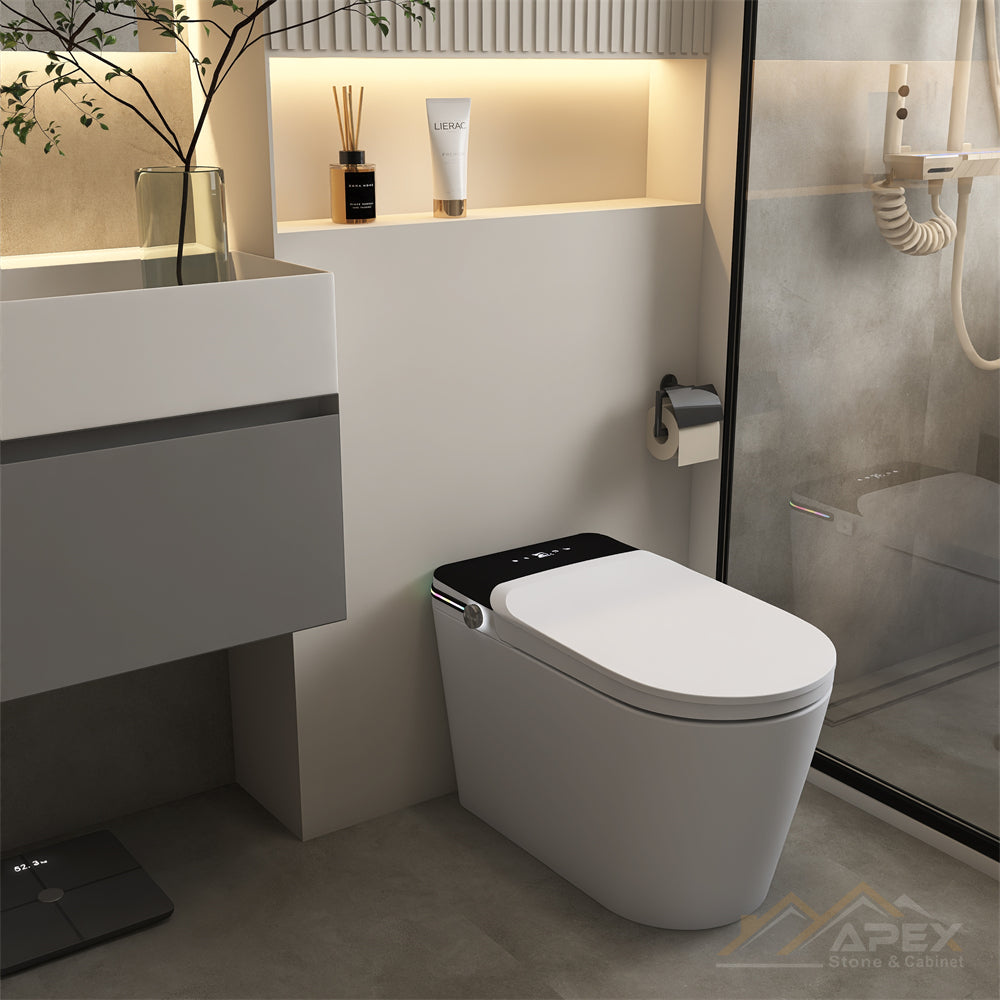 520 Black Smart One-Piece Toilet | Apex Granite Outlet