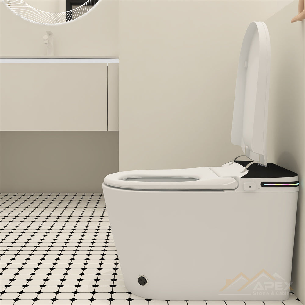 520 Black Smart One-Piece Toilet | Apex Granite Outlet