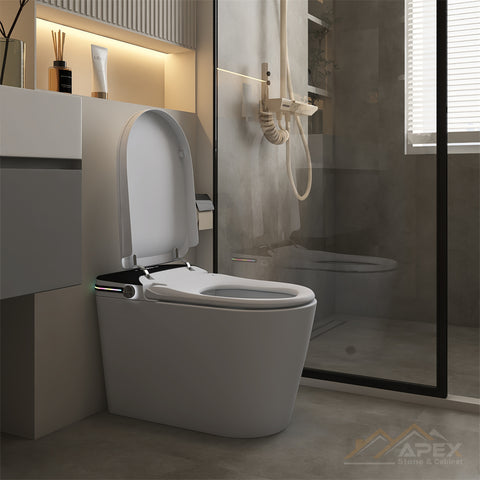 520Black Smart One-Piece Toilet