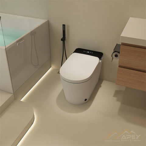 520Black Smart One-Piece Toilet