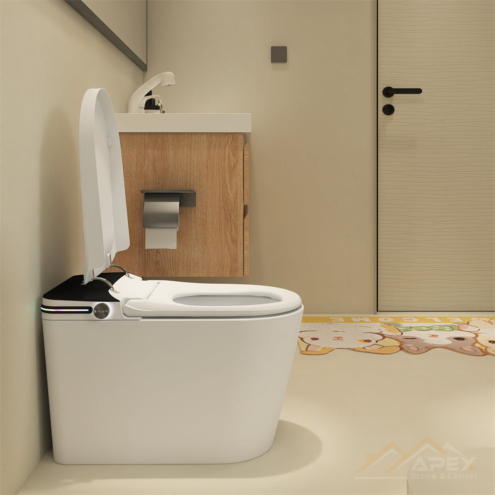 520 Black Smart One-Piece Toilet | Apex Granite Outlet