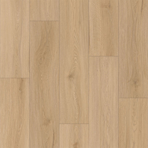 AL1006 Pleasant Valley 10MM 100% WATERPROOF VINYL FLOOR (WPC EIR) (60"X8.98")