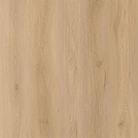 AL1006 Pleasant Valley 10MM 100% WATERPROOF VINYL FLOOR (WPC EIR) (60"X8.98")