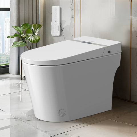 Smart Bidet Toilet B5