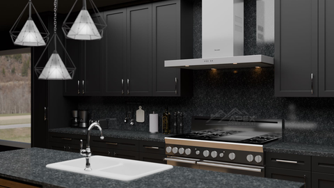 Black Shaker 10 x 10 Kitchen Combo