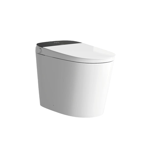 Smart Bidet Toilet C8
