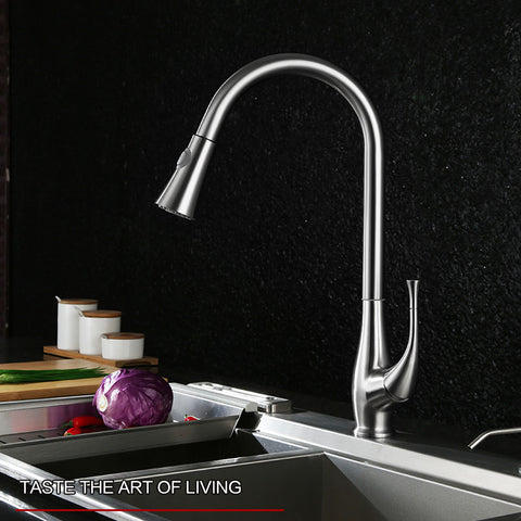 Chrome Single Handle Pull-Down Kitchen Faucet