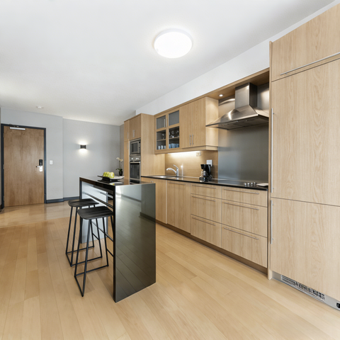 Natural Oak Frameless Euro-Style Kitchen Cabinets