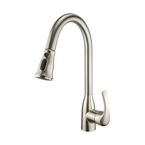 Single Handle Kitchen Faucet with Pull-Out