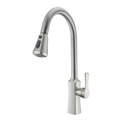 Single Handle Kitchen Faucet with Pull-Out