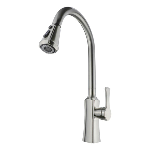 Single Handle Kitchen Faucet with Pull-Out