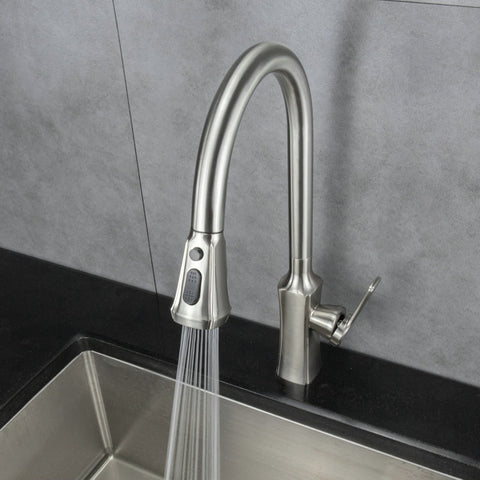 Single Handle Kitchen Faucet with Pull-Out