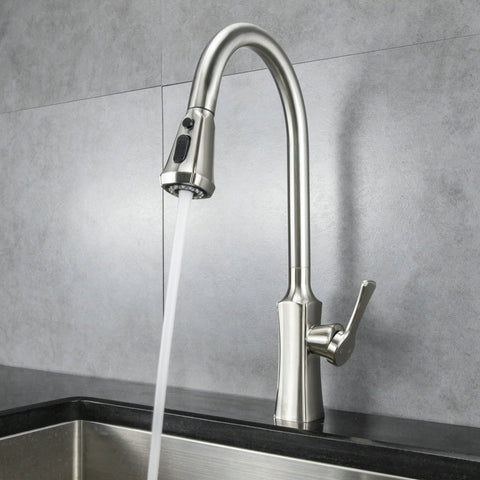 Single Handle Kitchen Faucet with Pull-Out