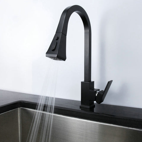 Single Handle Kitchen Faucet with Pull-Out