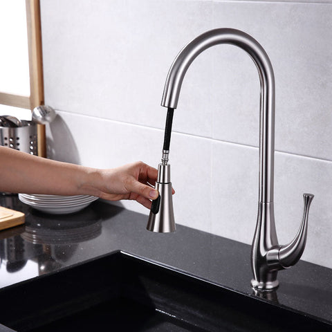 Single Handle Pull-Out Kitchen Faucet