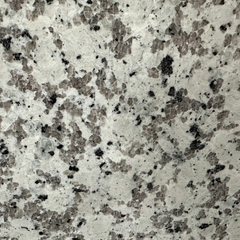 White Flower Granite Countertop